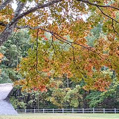 84位のイメージ