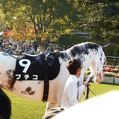 206位のイメージ