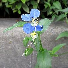 2620位のイメージ