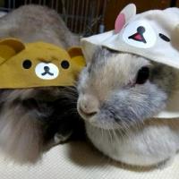 14位のイメージ