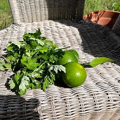 24位のイメージ