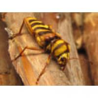 79位のイメージ