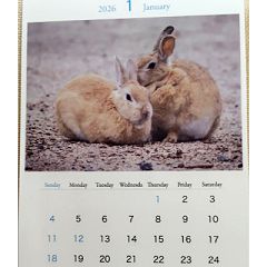 97位のイメージ