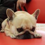 35位のイメージ