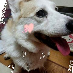 10位のイメージ