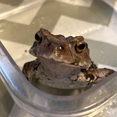 16位のイメージ