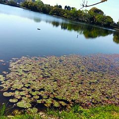 781位のイメージ