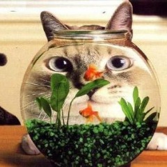 19位のイメージ