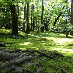 18位のイメージ