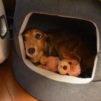 14位のイメージ