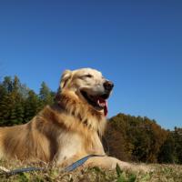 954位のイメージ