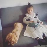 87位のイメージ