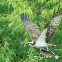 126位のイメージ