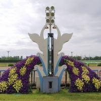 22位のイメージ