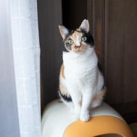 61位のイメージ