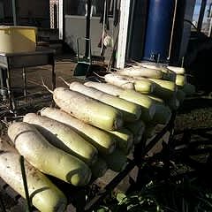 182位のイメージ