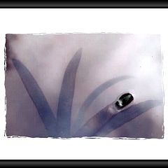 21位のイメージ