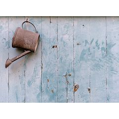 37位のイメージ