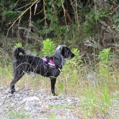 96位のイメージ