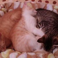 170位のイメージ