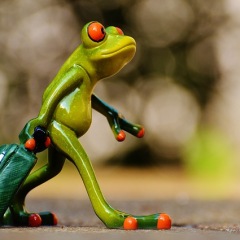 29位のイメージ