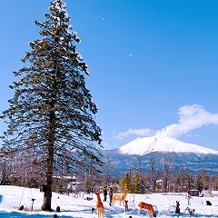 135位のイメージ