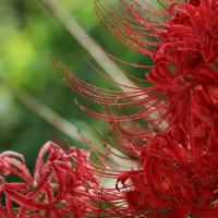 94位のイメージ