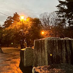 19位のイメージ