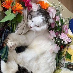 34位のイメージ