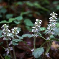 15位のイメージ