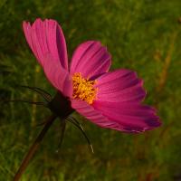 25位のイメージ