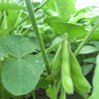 26位のイメージ