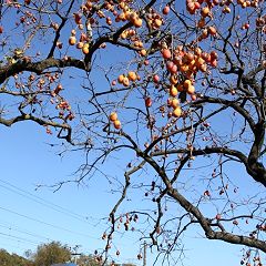 42位のイメージ