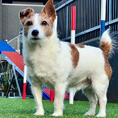 10位のイメージ