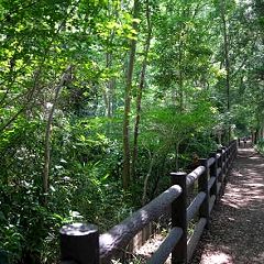 26位のイメージ