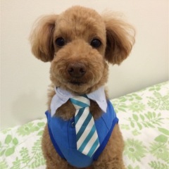 26位のイメージ