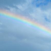 1293位のイメージ