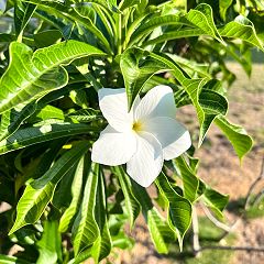 23位のイメージ