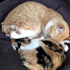 19位のイメージ