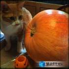 87位のイメージ