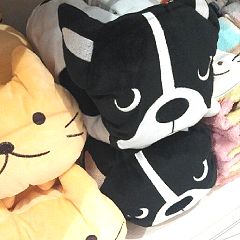 11位のイメージ