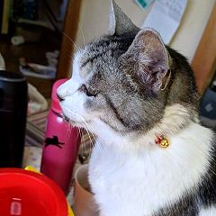 2227位のイメージ