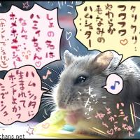 30位のイメージ