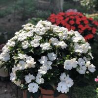 130位のイメージ