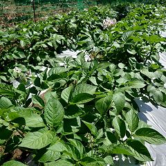 41位のイメージ