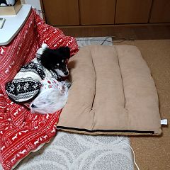 73位のイメージ