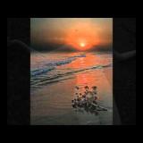 10位のイメージ