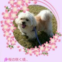 53位のイメージ