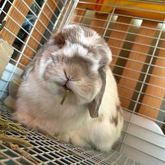 20位のイメージ