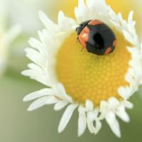 93位のイメージ